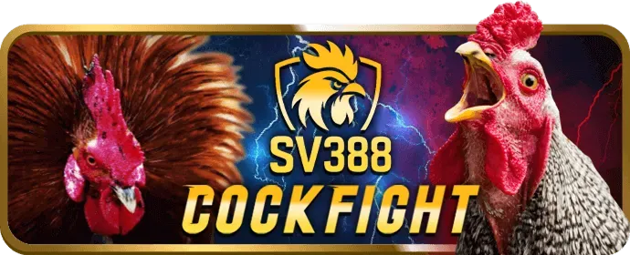 Game Bắn Cá Rồng Vàng b29bet
